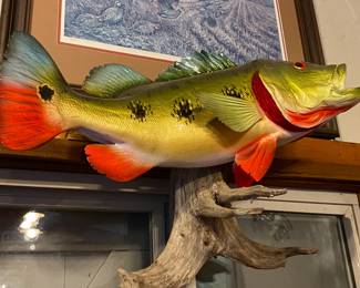  Colorful taxidermied fish mounted on a piece of driftwood.