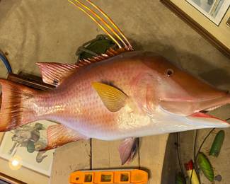 Another mounted fish.