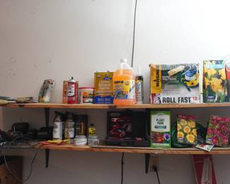 flower bulbs, paint, painting tools
