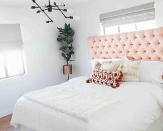 Mattress sold and plant headboard and frame is available 