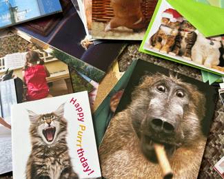Greeting Cards and Stationery