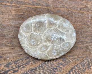 Polished Petoskey Stone Brooch