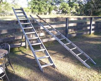 20 ft. Extension Ladder and 10 ft. Aluminum Ladder