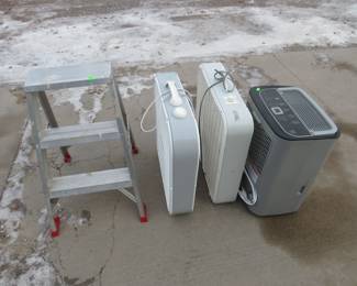Lot 303. Folding aluminum step-stool, two box fans, and a Hisense 30 pint dehumidifier.