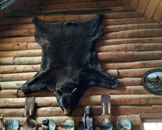 Bear skin