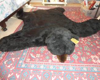 Bear Rug (faux of course but cool)