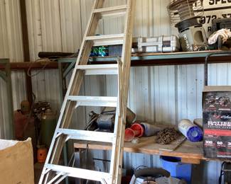 Aluminum ladder