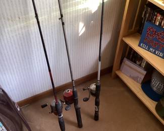 Fishing rod and reel