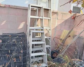 ladders and green house composition plant watering shelves