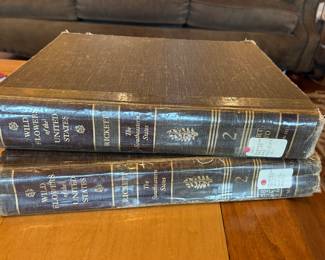 Vintage wildflowers of the United  States