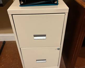 (2) of these file cabinets