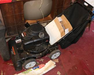 Remington Leaf Mulcher