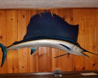 Mounted Sailfish