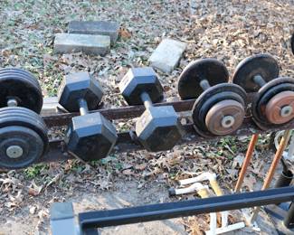 Dumbbells and Free Weights