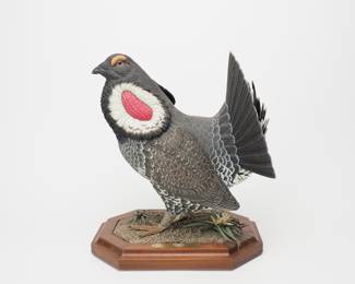 Dusky Grouse - Jim Hazeley