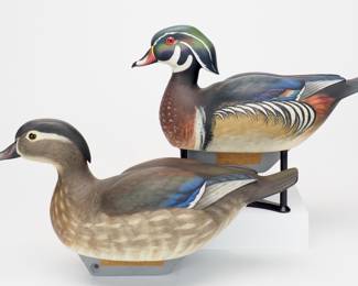 Rare Wood Duck Pair - William J. Koelpin