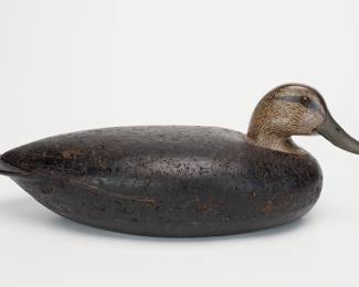 Black Duck - Lou Rathmell