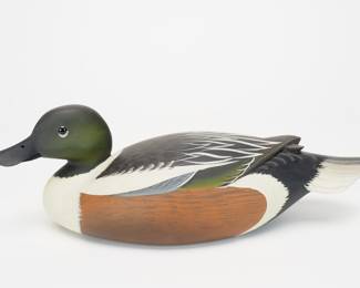 Miniature Drake Shoveler - George Strunk