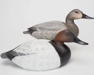 Canvasback Pair - Jim Schmiedlin