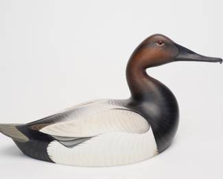 Canvasback Drake - Josh Brewer