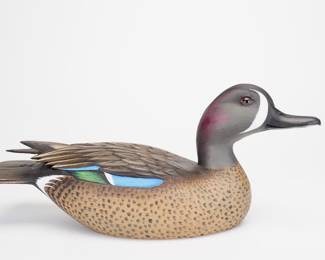 Blue-winged Teal Drake - Jim Schmiedlin