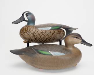Blue-winged Teal Pair - Rick Brown