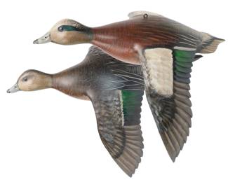 Flying Widgeon Pair - Mike Borrett