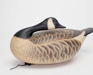 Preening Canada Goose - Ben Heinemann