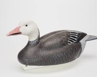 Blue Goose - Forrest Jennings