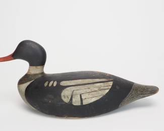 Merganser Drake - Willie Ross