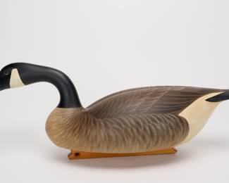 Swimming Canada Goose - Marty Hanson