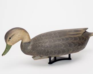 Black Duck Hen - Marty Hanson