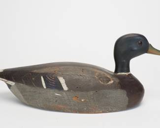 Magnum Mallard Drake - Billy Ellis