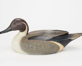 Pintail Drake - J.J. West