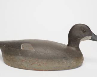 Redhead Hen - Billy Ellis