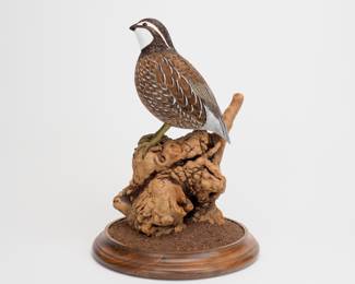 Bob White Quail - Al Burk