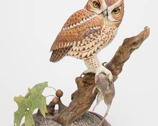 Red Phase Eastern Screech Owl - Jim Hazeley