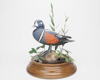 Harlequin Drake - Al Burk