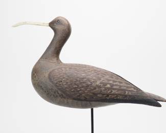 Sickle Bill Curlew - Eugene 'Chief'&nbsp;Cuffee