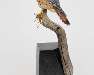 Kestrel with Grasshopper - Jim Hazeley