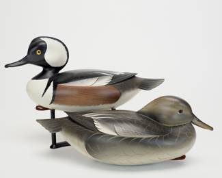 Hooded Merganser Pair - George Strunk