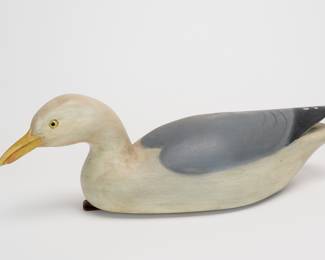 Herring Gull Confidence Decoy - Cameron McIntyre