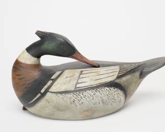 Preening Merganser Drake - Reggie Birch