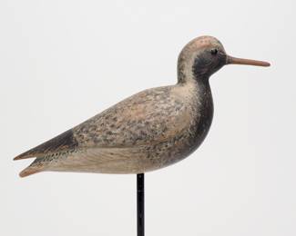 Black-bellied Plover - Mark S. McNair