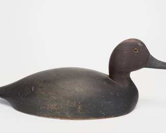 Redhead Drake - Unknown, Ontario