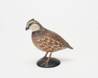 Miniature Male Bobwhite Quail - Eddie Wozny