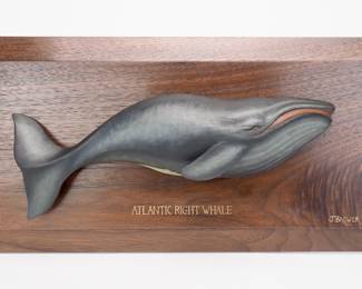 Atlantic Right Whale - Josh Brewer