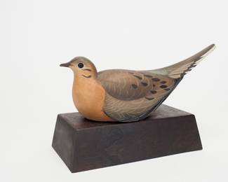 Life-size Mourning Dove - Josh Brewer
