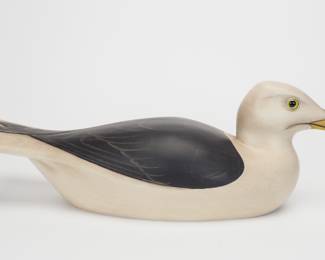 Black Backed Gull - Bill Joeckel