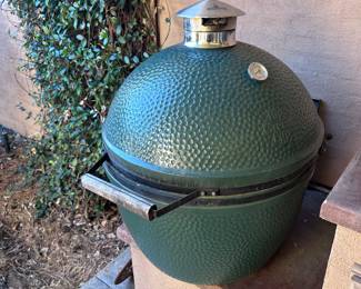 Big Green Egg cooker
